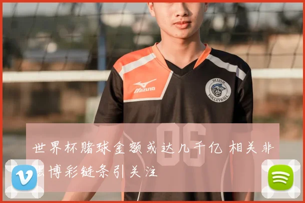 世界杯赌球金额或达几千亿 相关非法博彩链条引关注
