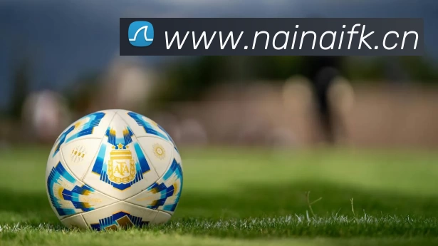 App Interface Preview